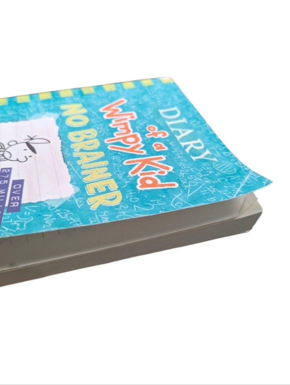 2 Diary of a Wimpy Kid Books - Picture 5 of 6